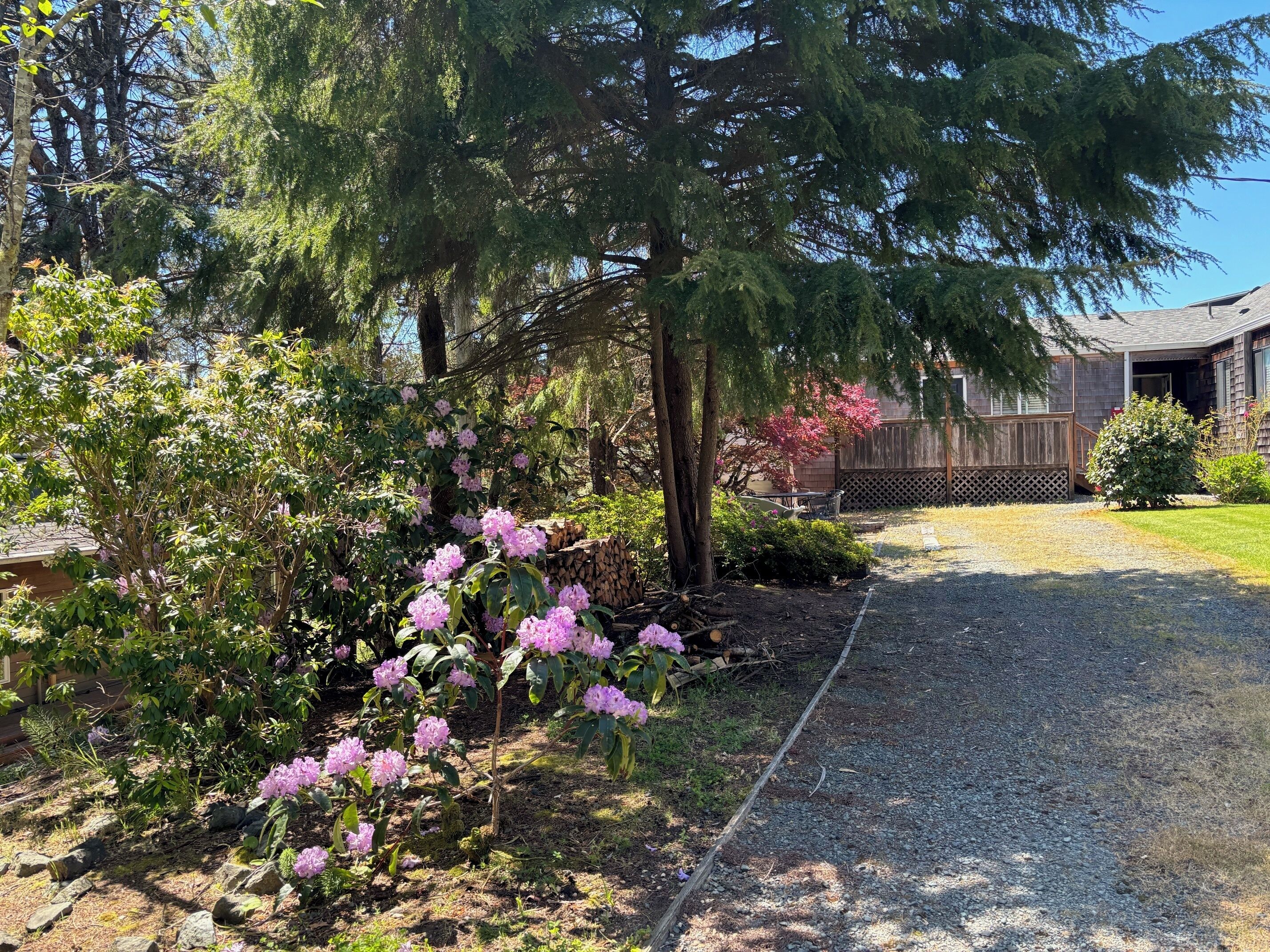 Une allée de gravier mène à une maison en bois dotée d’un porche couvert, le tout entouré d’une végétation luxuriante et d’arbustes en fleurs.