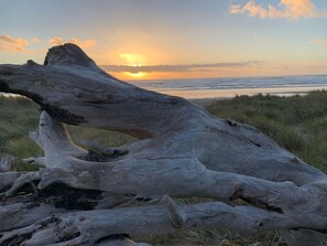 Playa en los alrededores