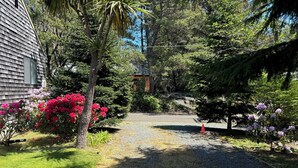 Une allée de gravier mène à une maison entourée d’une végétation luxuriante et de plantes en fleurs.