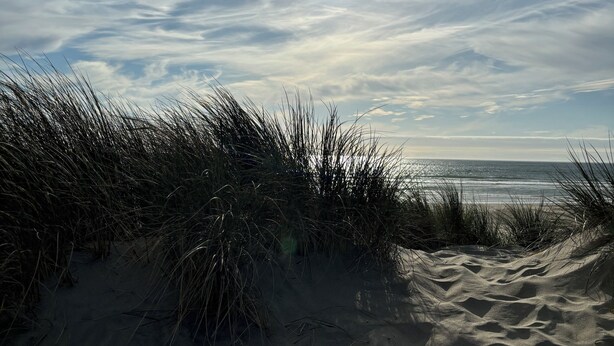 Une plage avec des dunes de sable et de l’herbe au premier plan, qui s’étend jusqu’à l’océan.