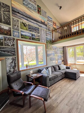 Smart TV, fireplace, books