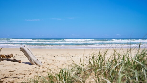 Una playa con un tronco de madera y hierba en primer plano, y olas al fondo.