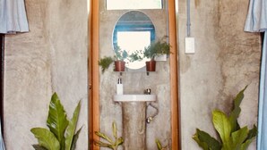 A bathroom with a stone wall, a mirror, a sink, and two potted plants. - Hangover Hostel (Moalboal)