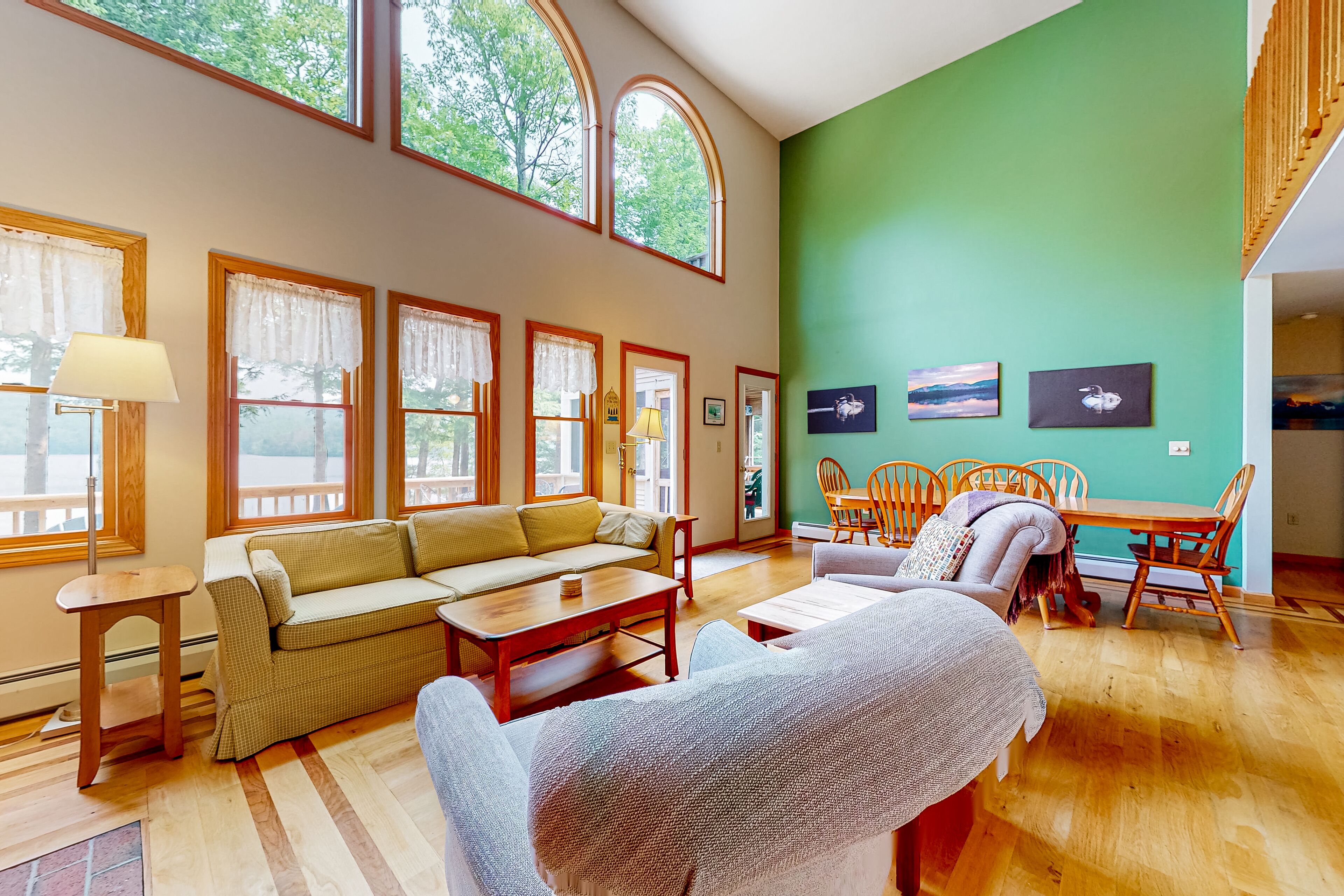 TV, DVD player, books, video library