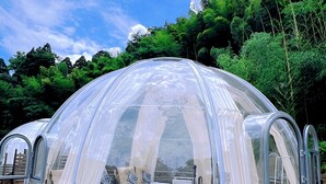 A transparent dome structure with a bed and seating area inside, surrounded by a garden. - Dream Dome Glamping Studio Ichihara (Ichihara)