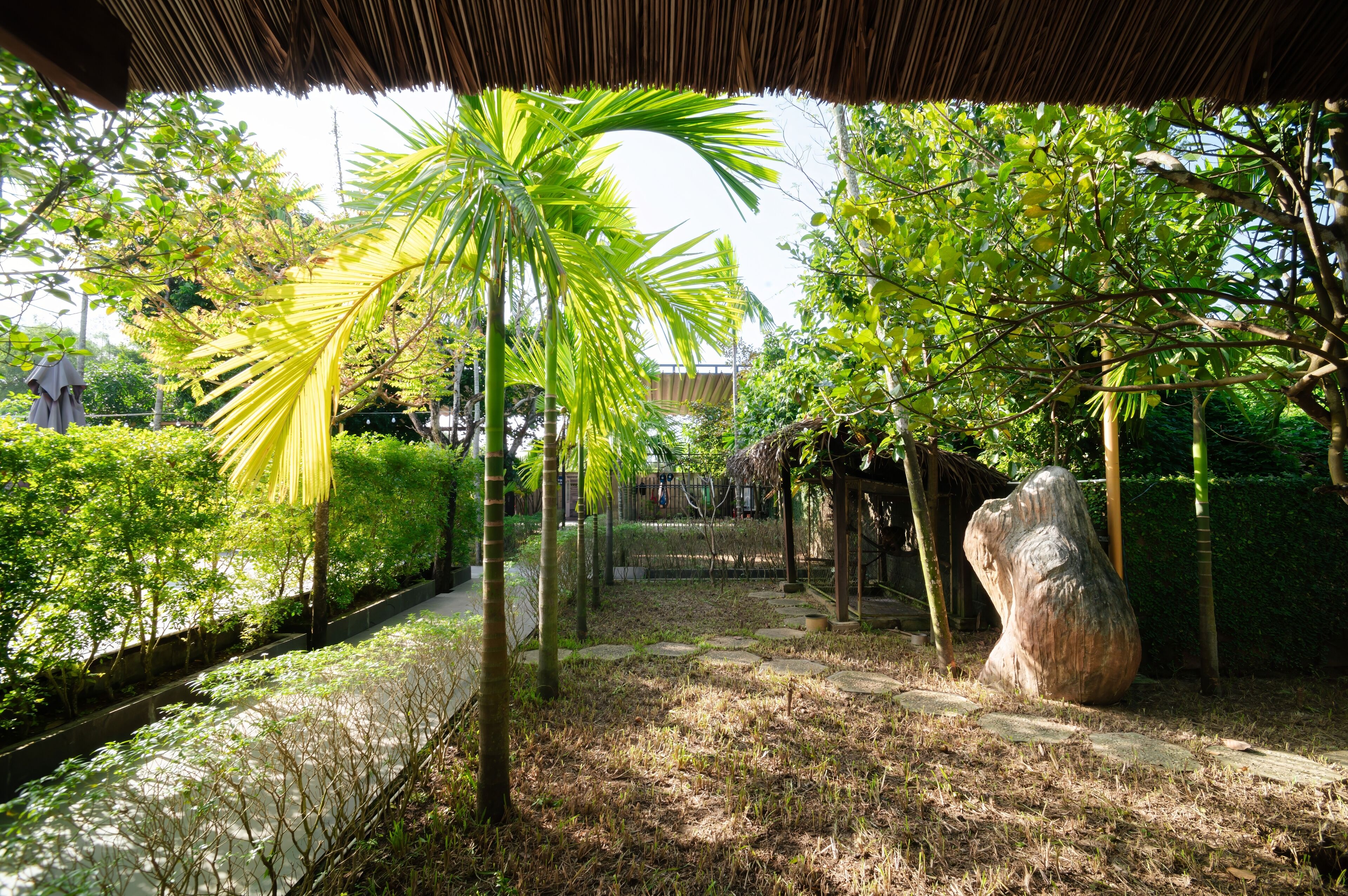 Sân vườn