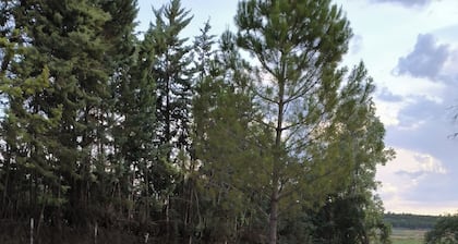 Villa Marqués del Río: oasis de relax
