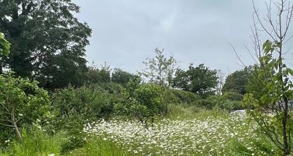 Stunning 1-Bed in Bruton Somerset, stunning views
