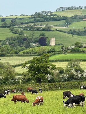 Golf - 2 Guests Studio - Free Parking - Stunning Views (Bruton)