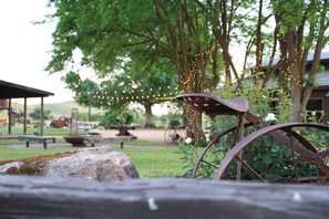 Property grounds - Glamping Paso Robles! Ultimate countryside farm stay!  (San Miguel)
