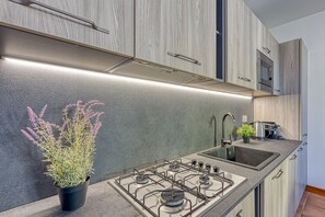 Kühlschrank, Mikrowelle, Herdplatte, Wasserkocher mit Kaffee-/Teezubehör