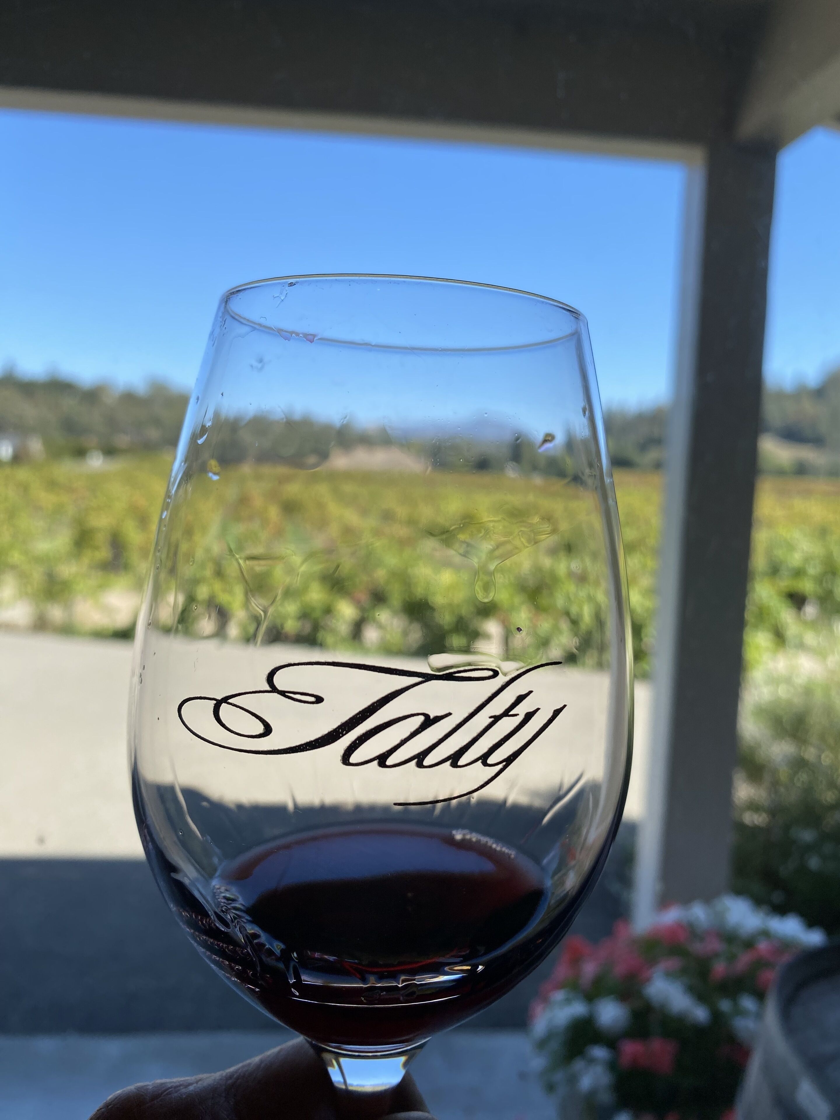A wine glass with the name "Tally" on it, held in front of a vineyard.