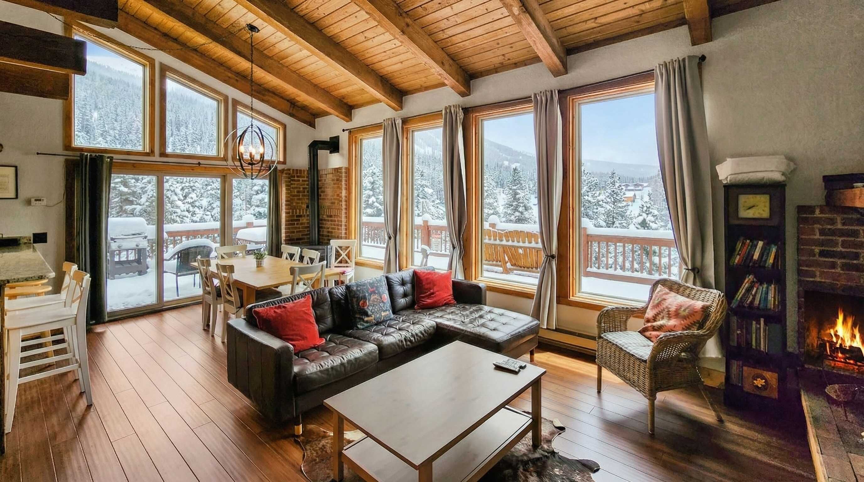 TV, fireplace, books, stereo