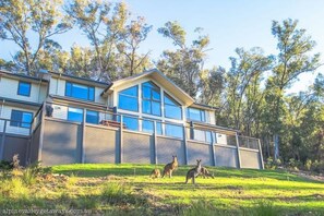 Situated in a serene natural setting, this building features a glass facade and large windows.