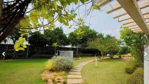 Un jardín con un sendero de piedra, diversas plantas y un edificio blanco al fondo.