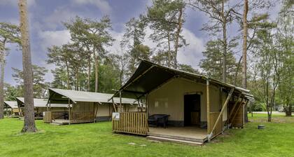 Glamping tent on campsite with swimming pool