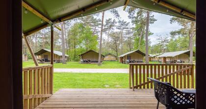 Glamping tent on campsite with swimming pool
