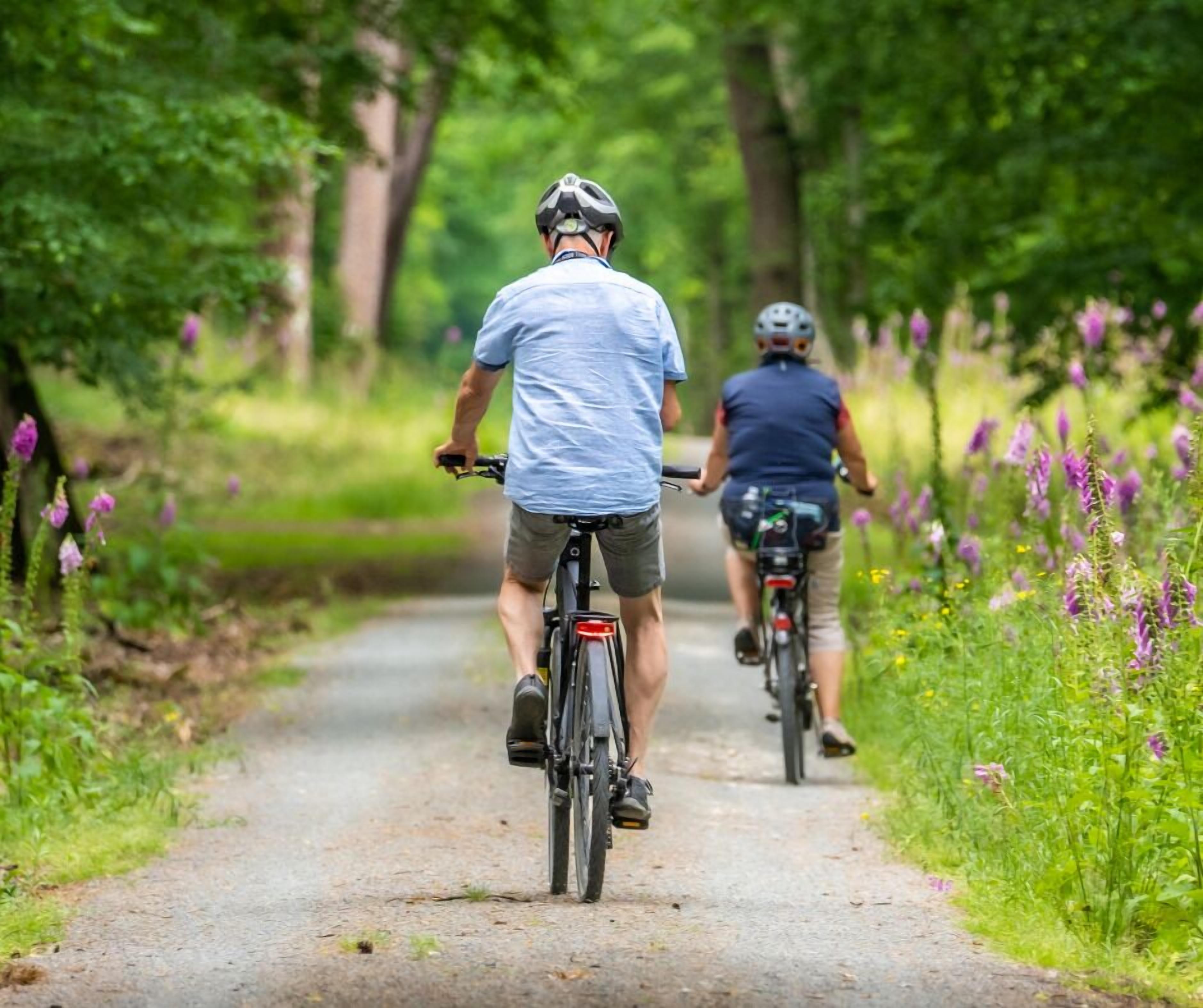 Two cyclists on a narrow path surrounded by lush greenery and purple flowers.