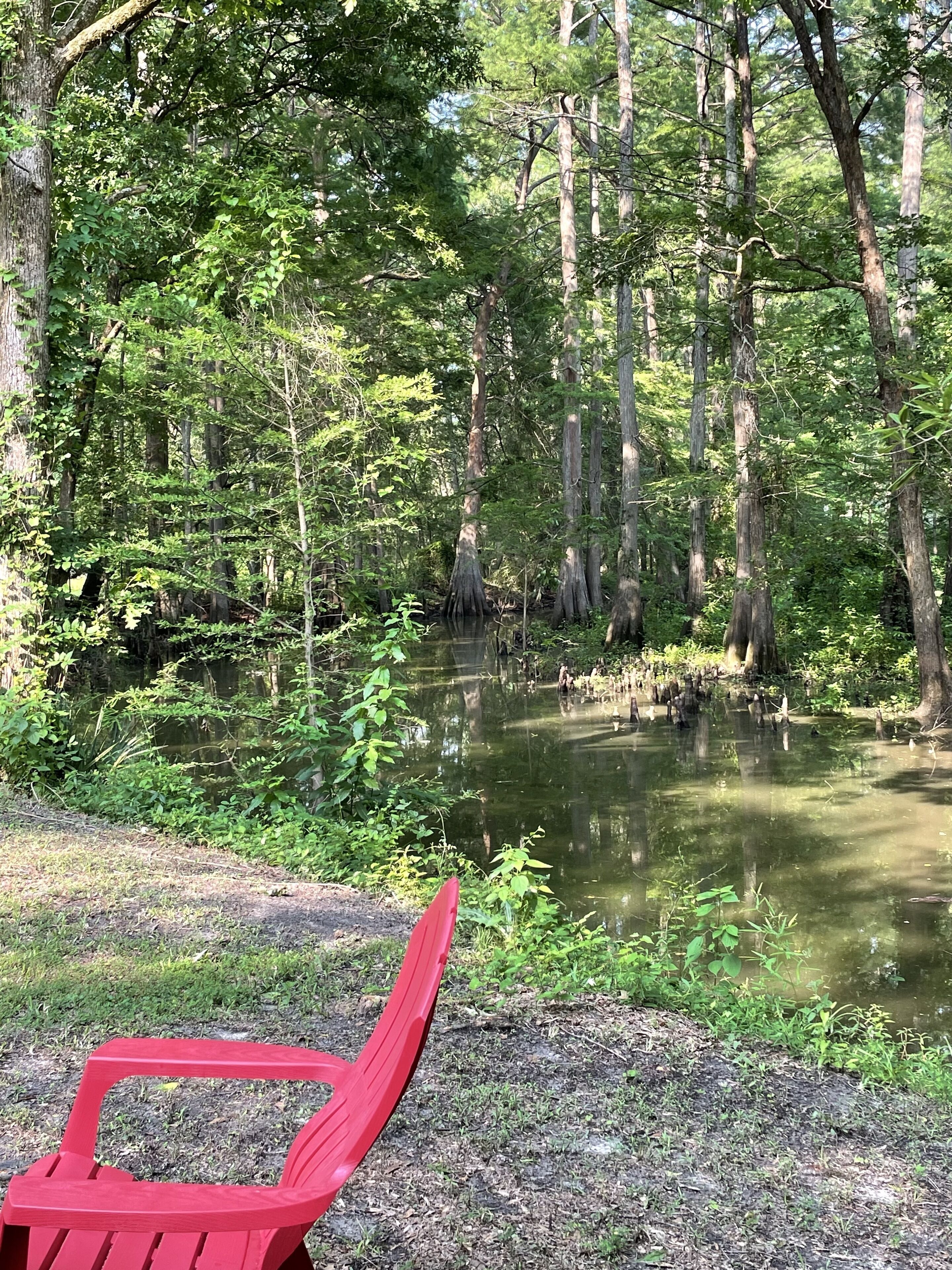 Una silla roja junto a un estanque tranquilo rodeado de árboles frondosos.