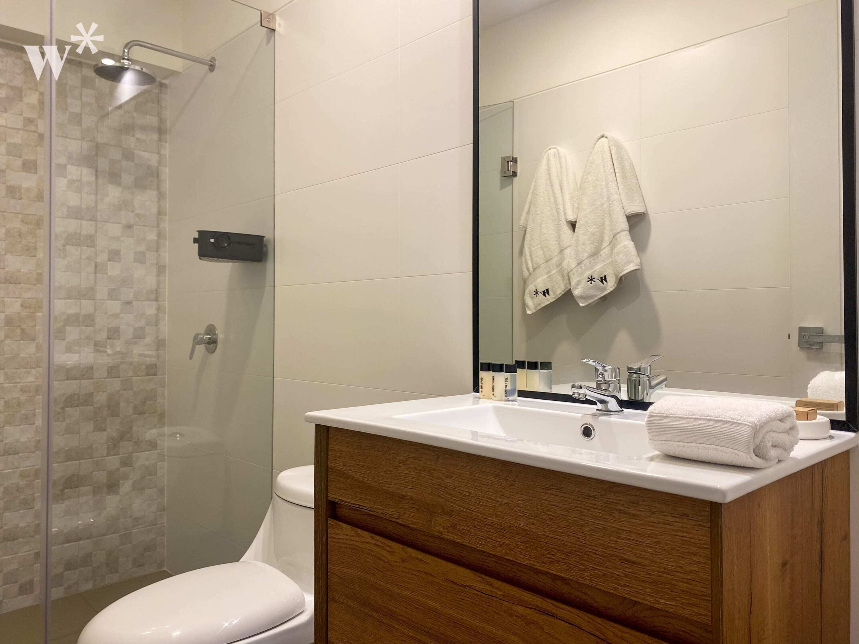 Une salle de bain moderne équipée d’une douche, de toilettes, d’un meuble-lavabo et d’un grand miroir.