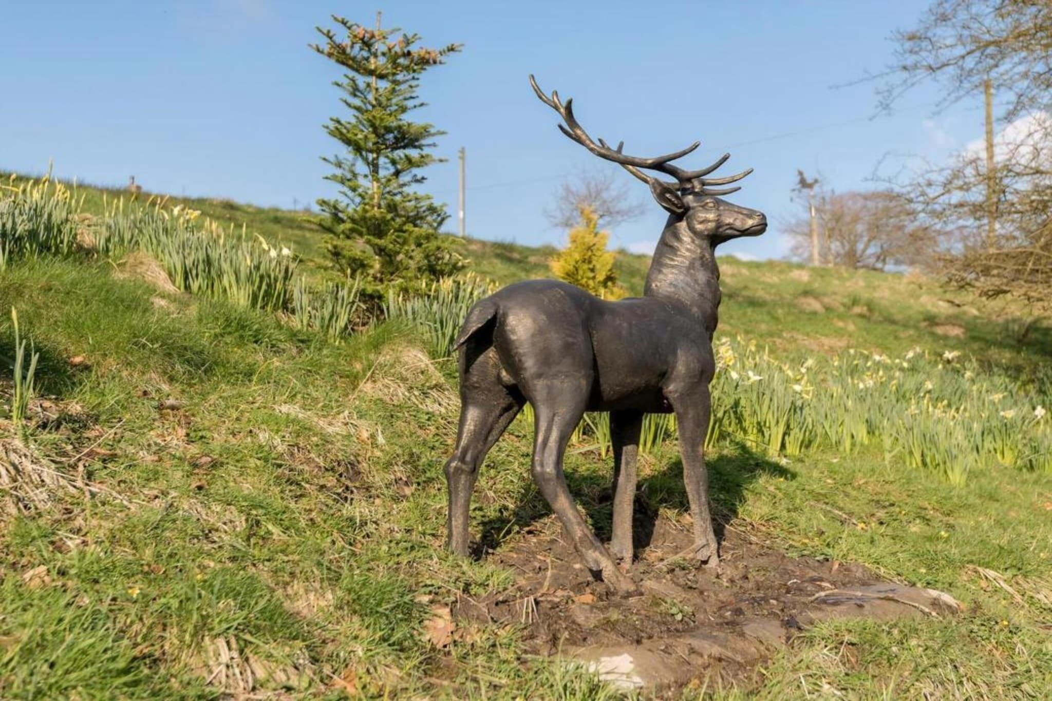 A deer statue in a grassy outdoor setting.