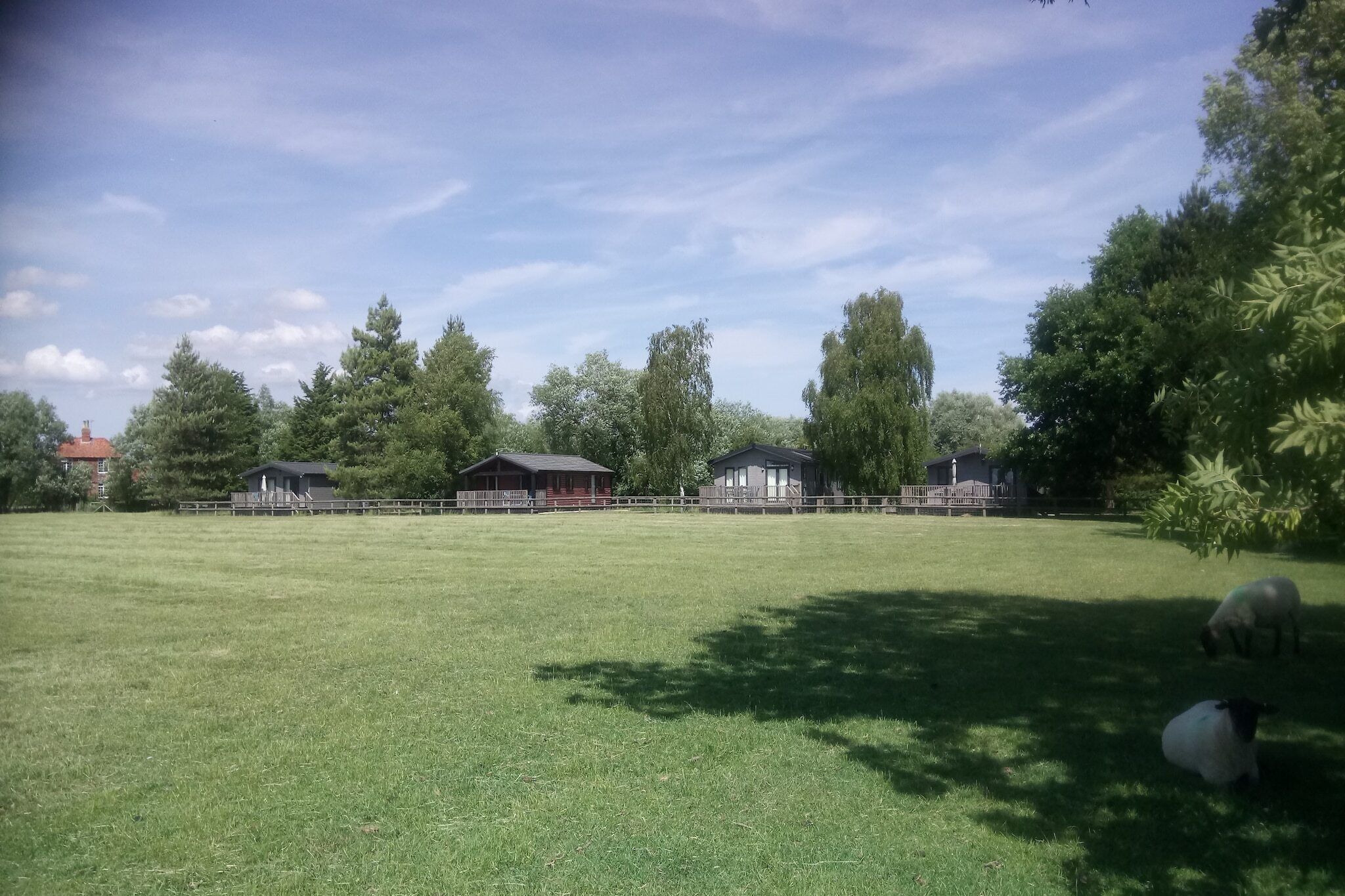 A large grassy field with a few buildings in the background.