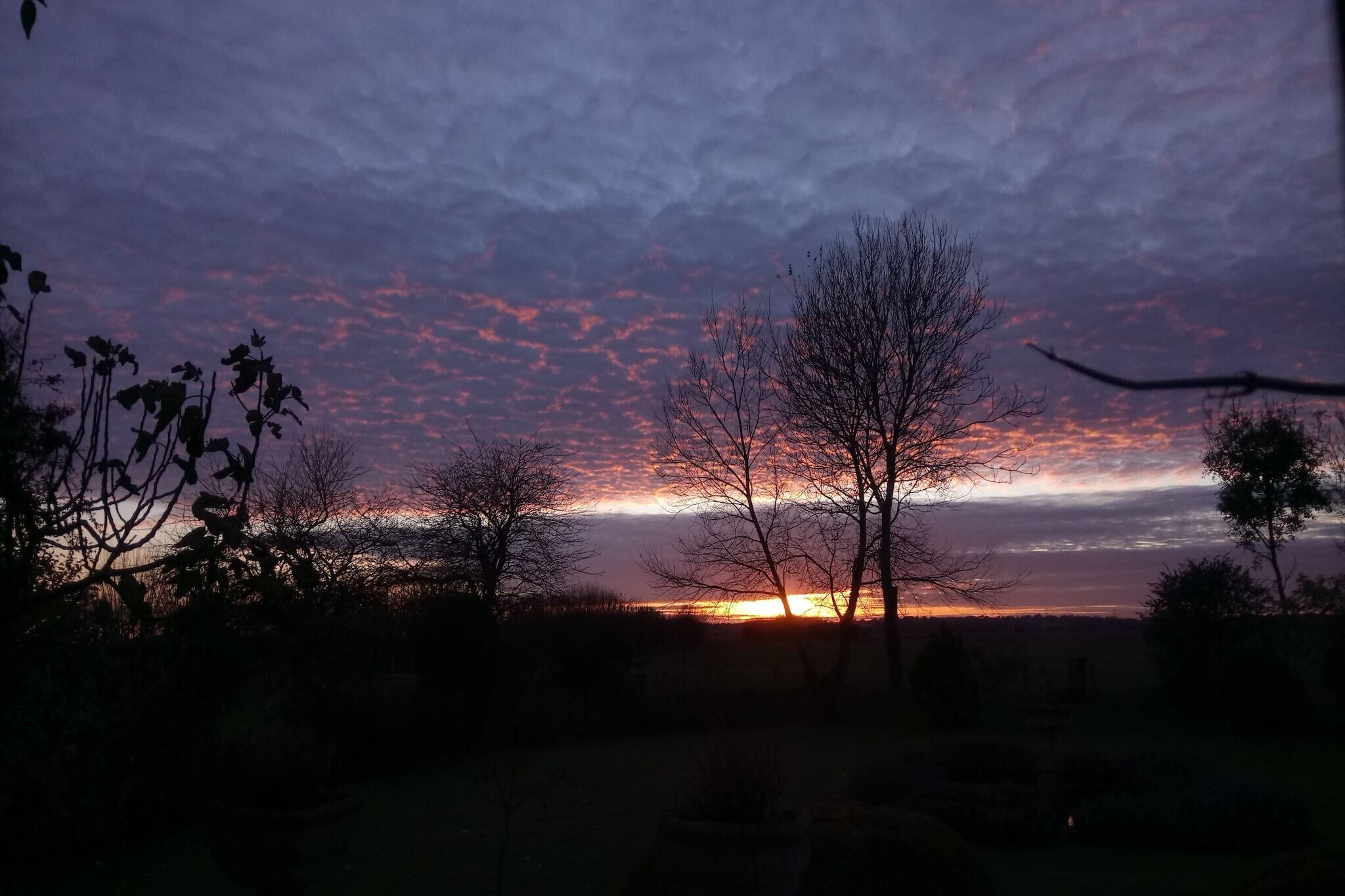 A sunset over a rural landscape with trees and a path.