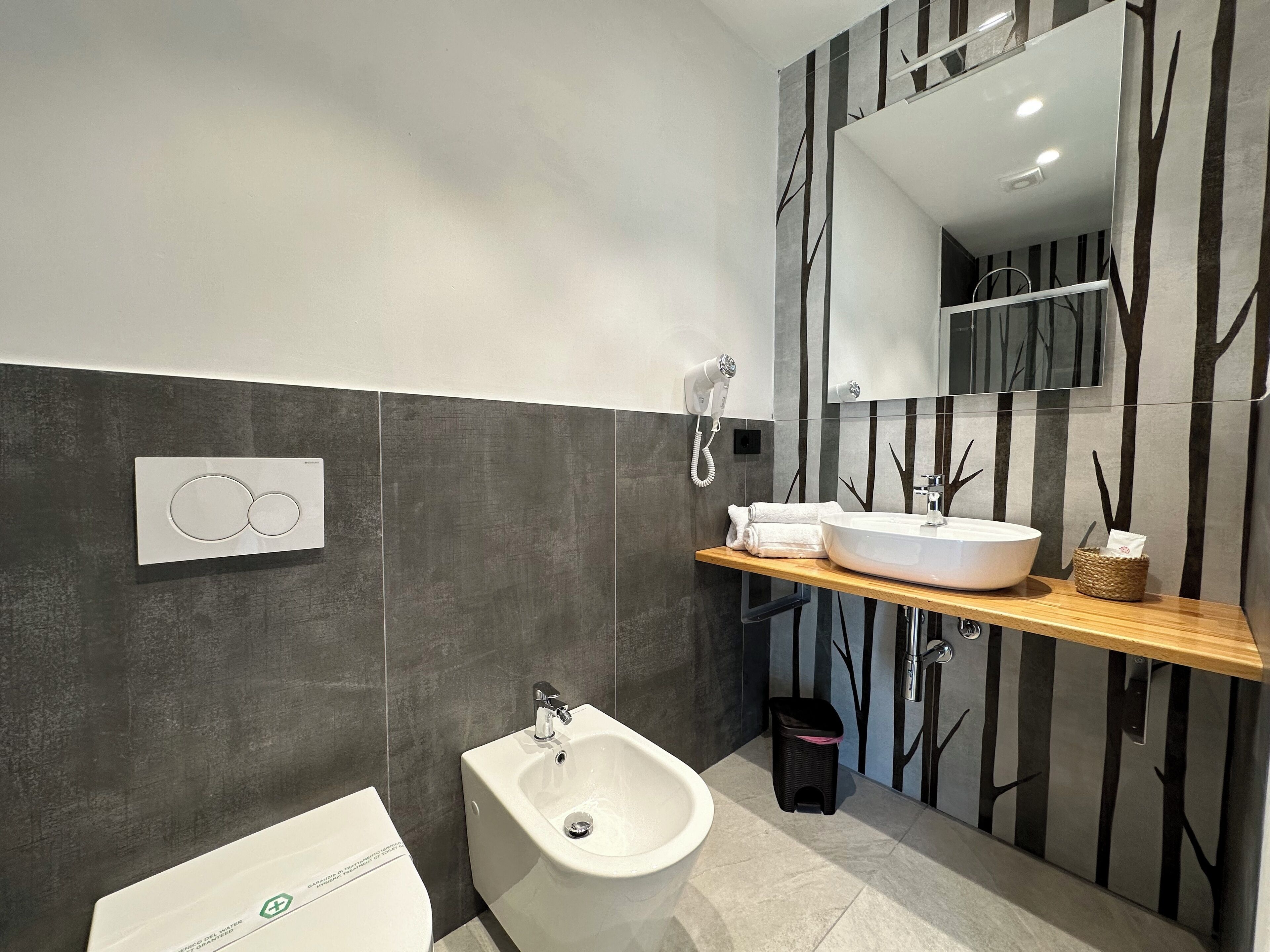 A modern bathroom with a bidet, a large mirror, a towel rack, and a wall-mounted hairdryer.