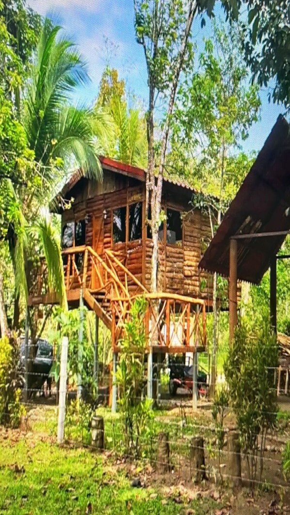 Exterior - Tree House River (alajuela)