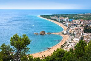 Una spiaggia nelle vicinanze