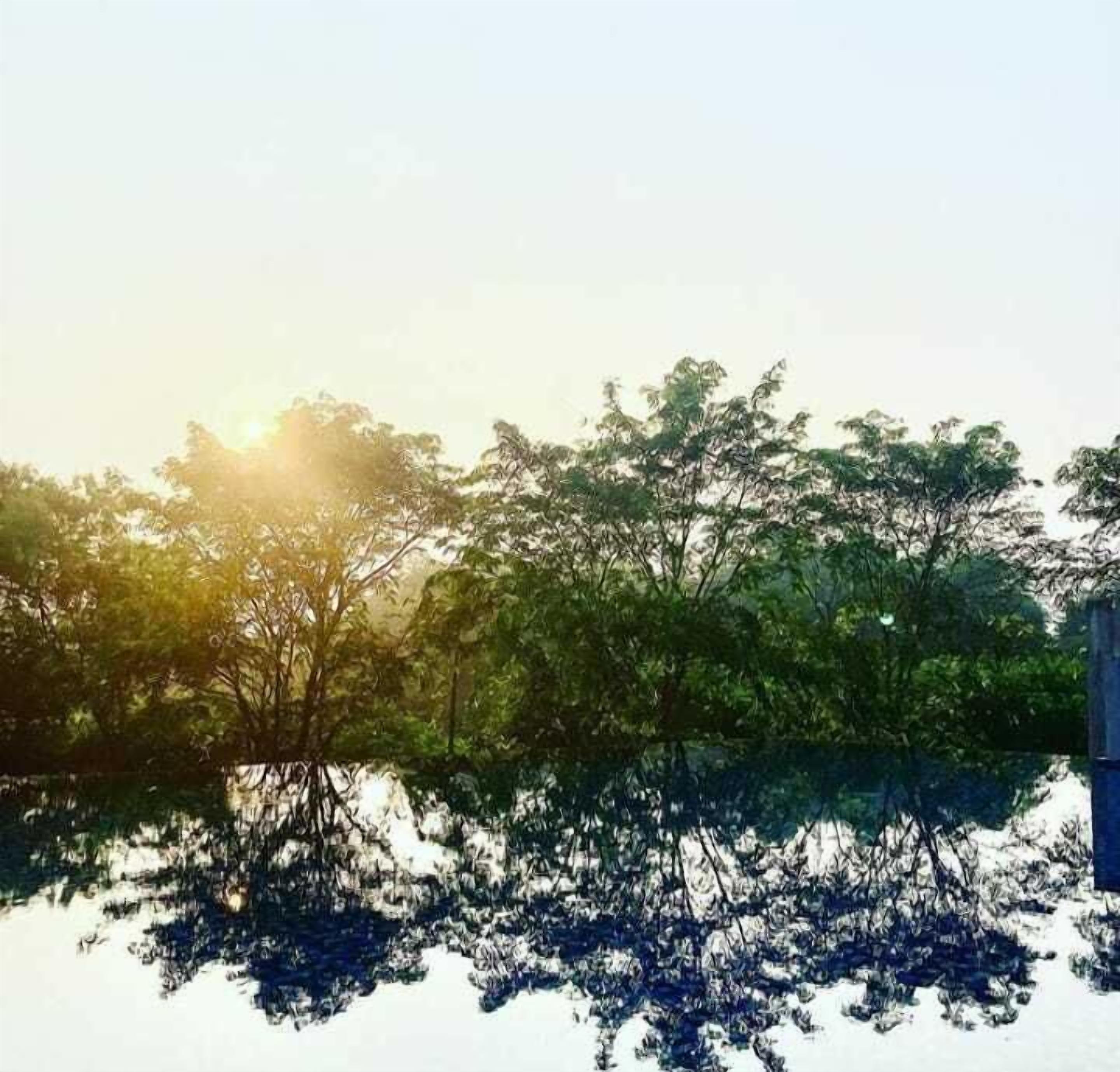 A body of water reflecting trees and a building.