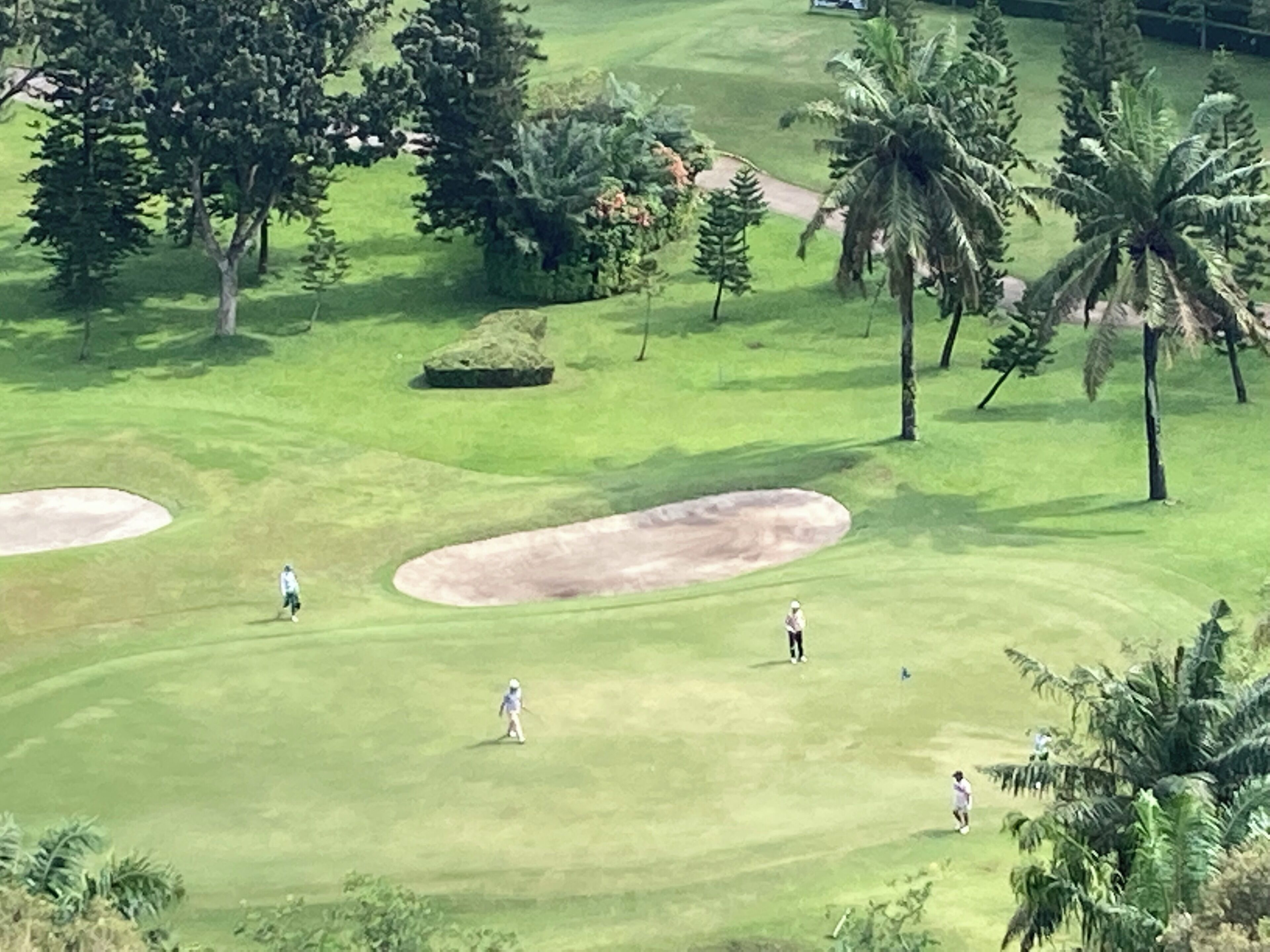 Un campo de golf con búnkeres de arena y palmeras.