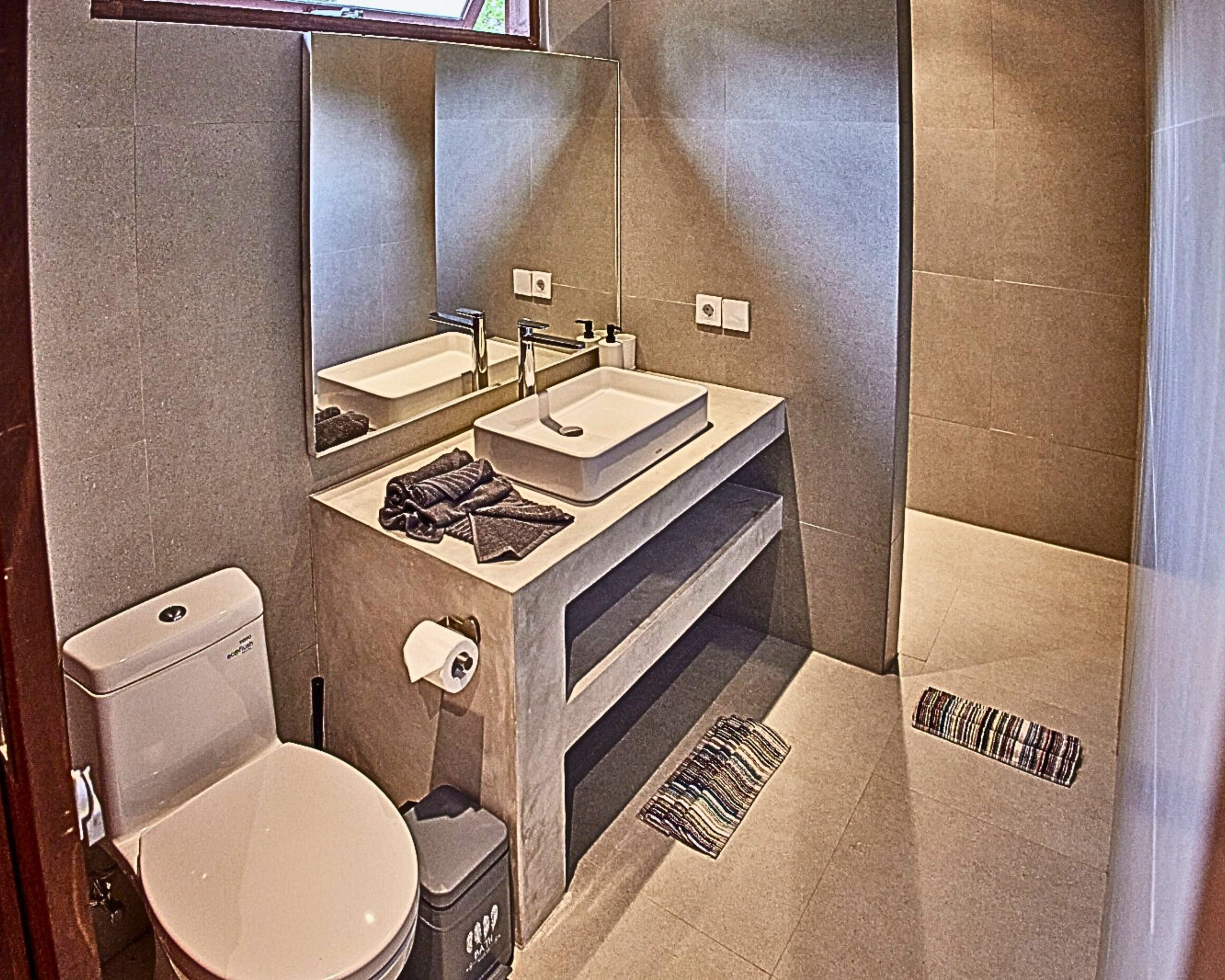 A modern bathroom with a toilet, two sinks, a mirror, and a shower area.