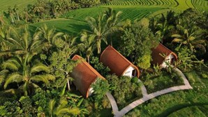 A tropical resort with two bungalow-style buildings surrounded by lush greenery and terraced fields. - Antagana Retreat (Selemadeg)