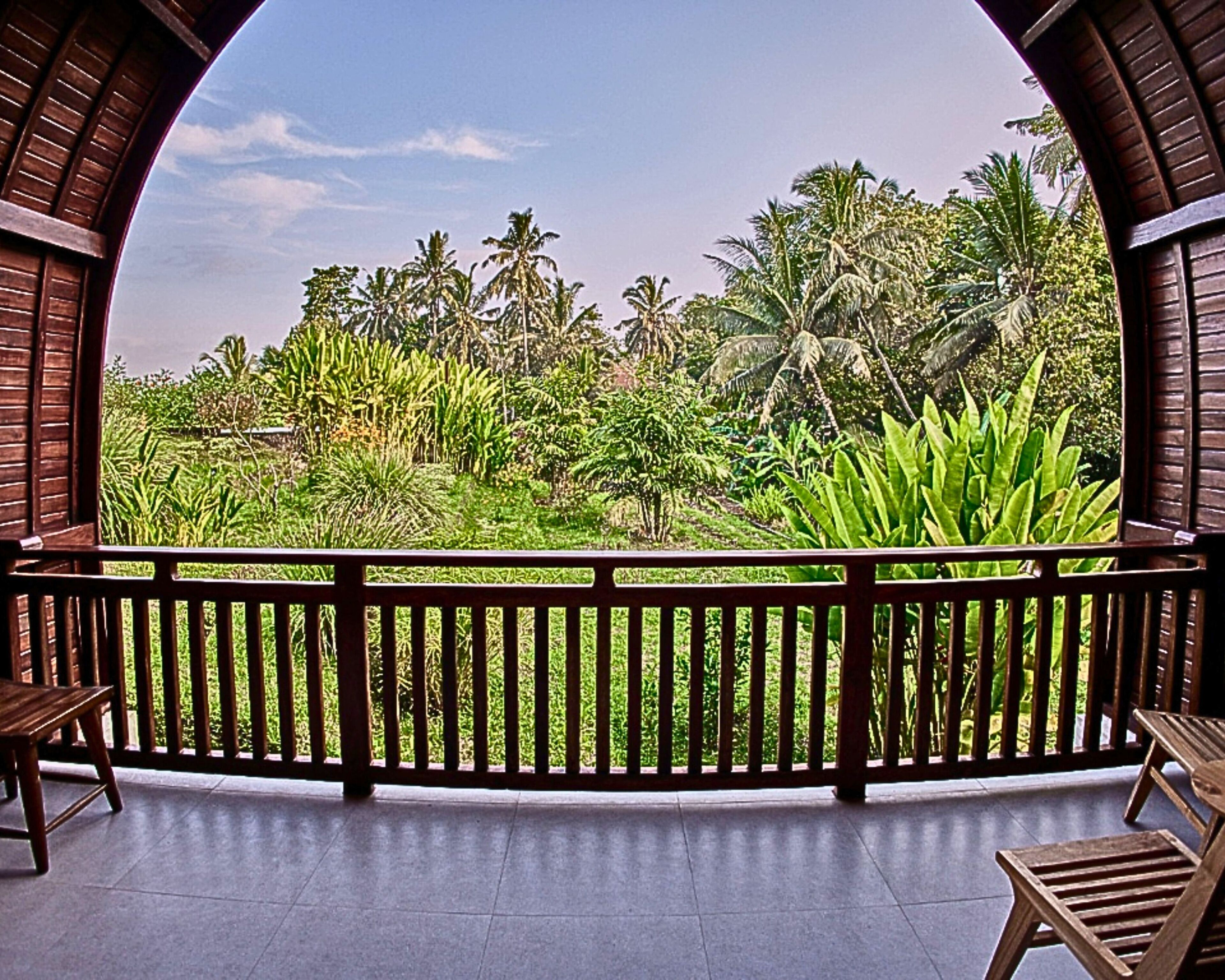 A balcony with a view of lush greenery and palm trees.