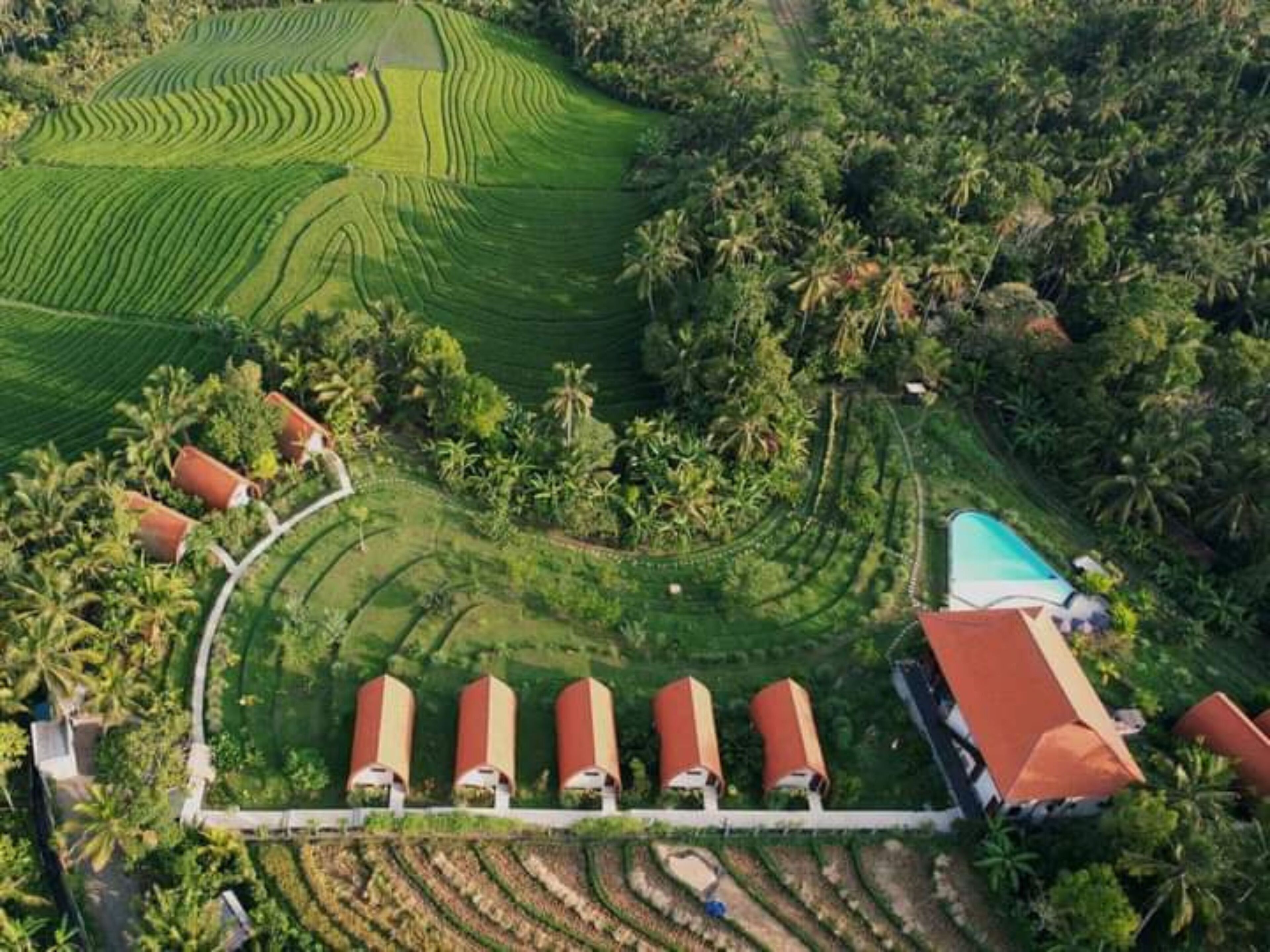 Vista aérea de un complejo turístico con campos en terrazas, palmeras y varios edificios con techos rojos.
