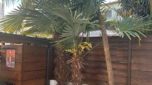 A wooden fence, a palm tree, and a building with a sign. - Cozy Triplex Apartment with Terrace Near Beach in Arcachon (Arcachon)