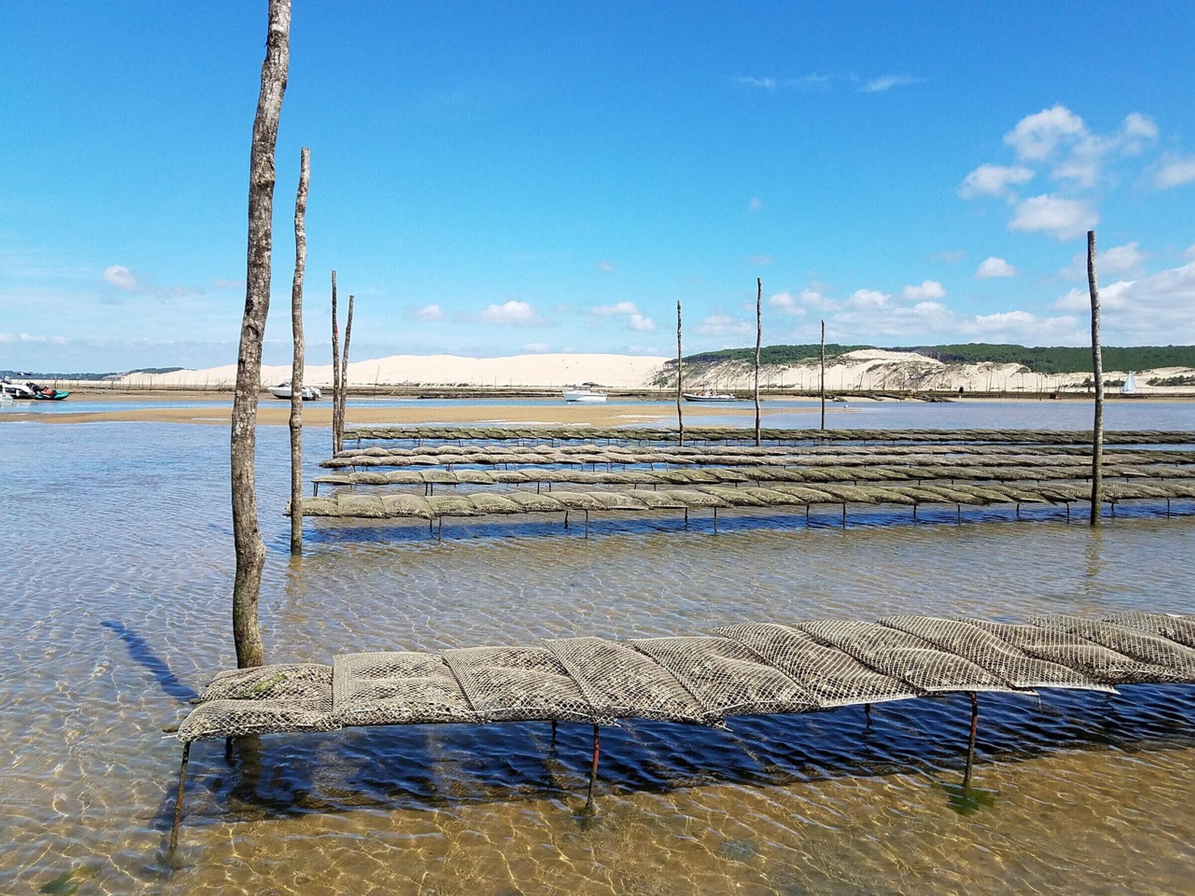 På stranden