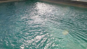 En swimmingpool med krystalklart vand, parasol og et skilt, der viser hen til en poolbar.