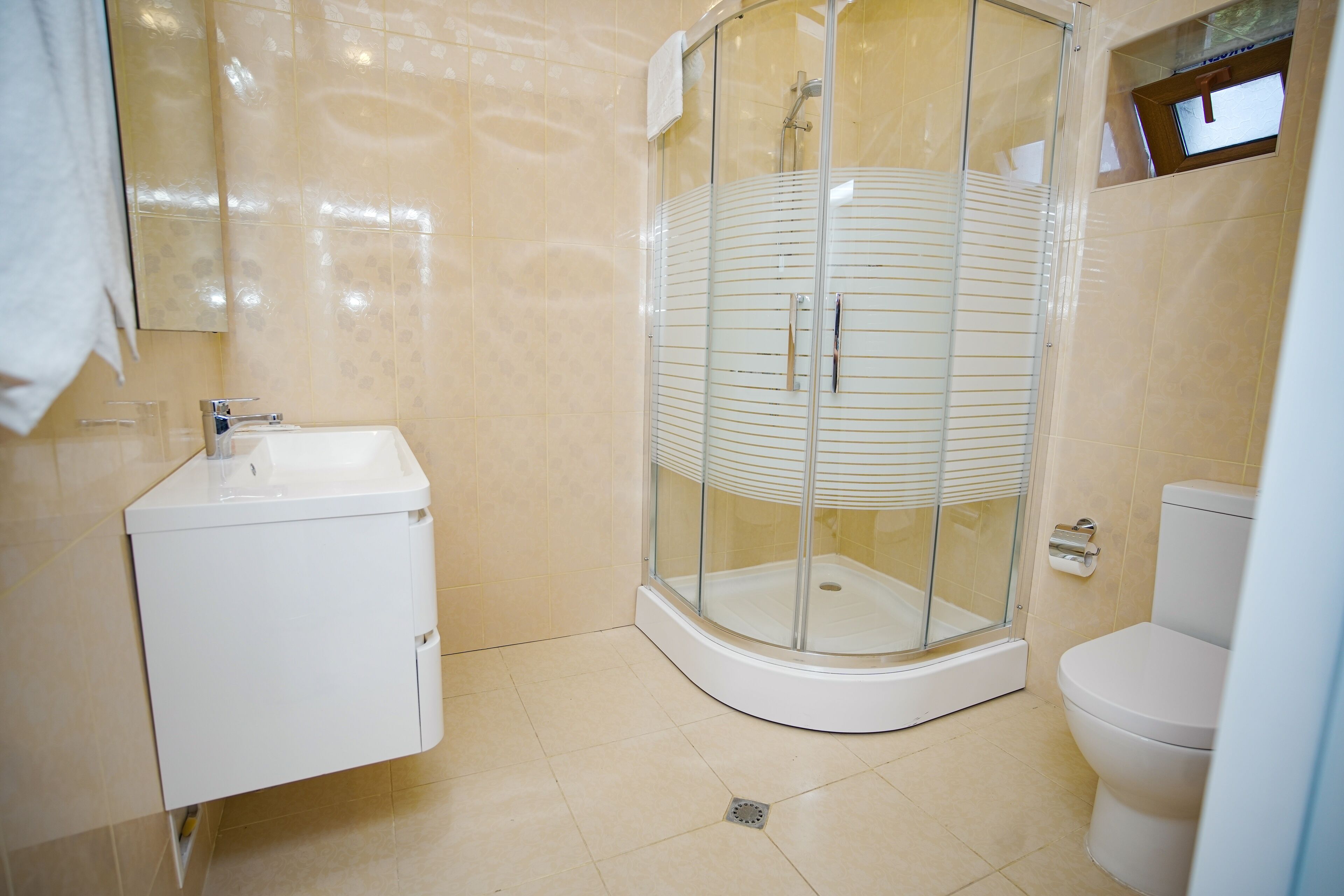 Un baño con ducha envuelta en vidrio, un lavabo y un inodoro.