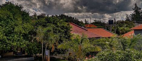 A swimming pool surrounded by lush greenery and a red-roofed building.