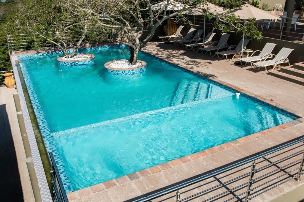 A rectangular swimming pool with a tiled border, surrounded by lounge chairs and a tree.