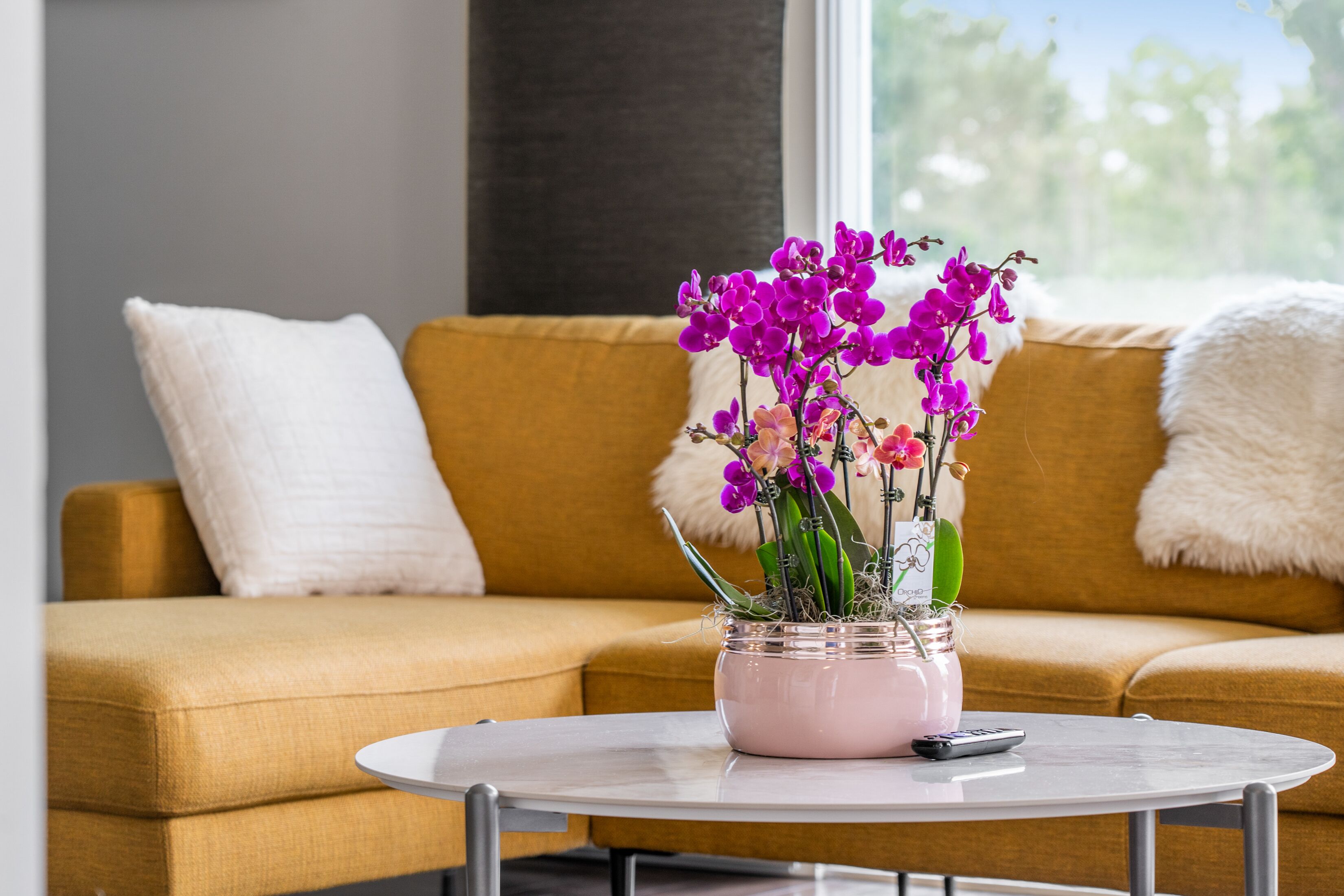 Ein Wohnzimmer mit einer Couch, einem Couchtisch und einer Blumenvase.