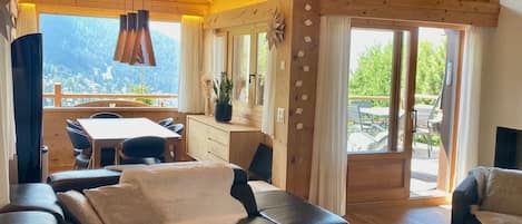 TV, fireplace, books