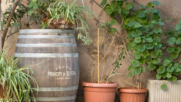 Una botte di legno con del testo, due vasi in terracotta e piante verdi, tutto davanti a un muro.