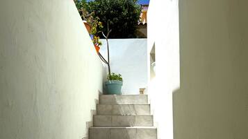 Un escalier étroit, avec un pot de fleurs posé sur la marche supérieure.
