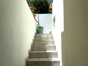 Una escalera estrecha con una planta en maceta en el último escalón.