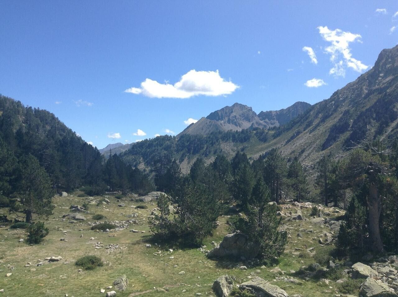 Un paisaje montañoso con bosques densos y terreno rocoso.