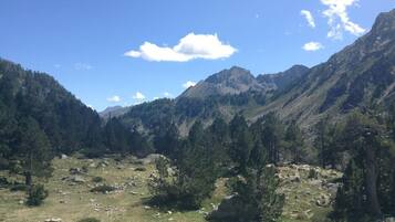 A mountainous landscape with dense forests and rocky terrain.