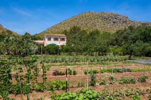 Terrein van de accommodatie